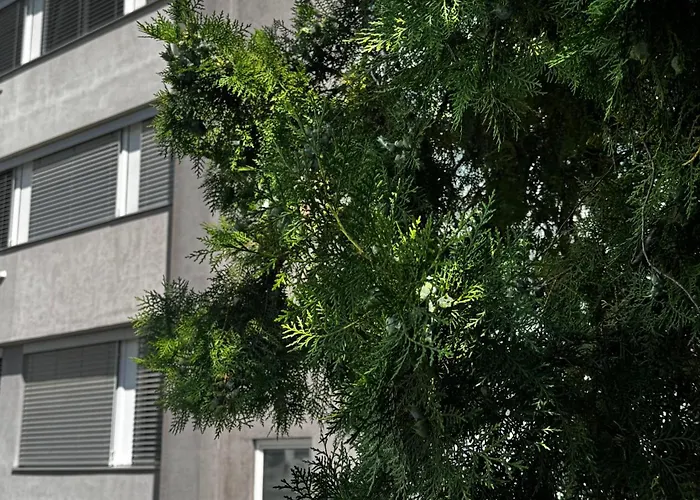 Stromova - Two Bedroms * Bratislava